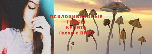 эйфоретик Алексеевка